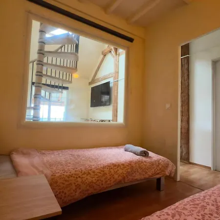 Jolie Duplex Vue Sur Les Alpes Divonne-les-Bains