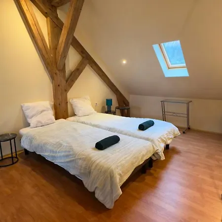 Jolie Duplex Vue Sur Les Alpes Divonne-les-Bains