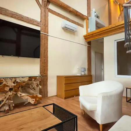 Jolie Duplex Vue Sur Les Alpes * Divonne-les-Bains