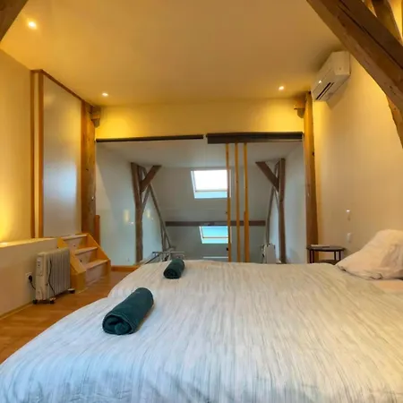 Jolie Duplex Vue Sur Les Alpes Apartment