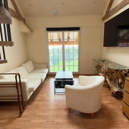 Jolie Duplex Vue Sur Les Alpes Apartment Divonne-les-Bains